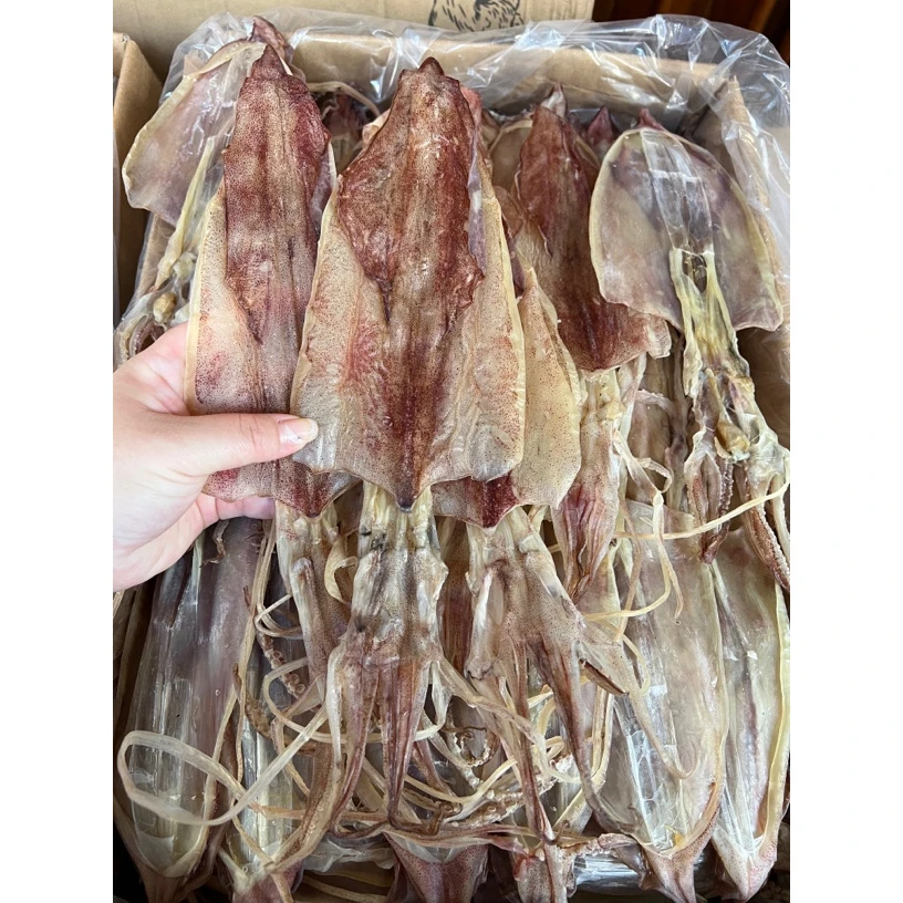 鱿鱼干 吊鱿 船鱿 250克-500克#