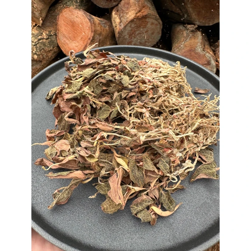 金线琏 （福建红厦）叶子纹路更细 100克