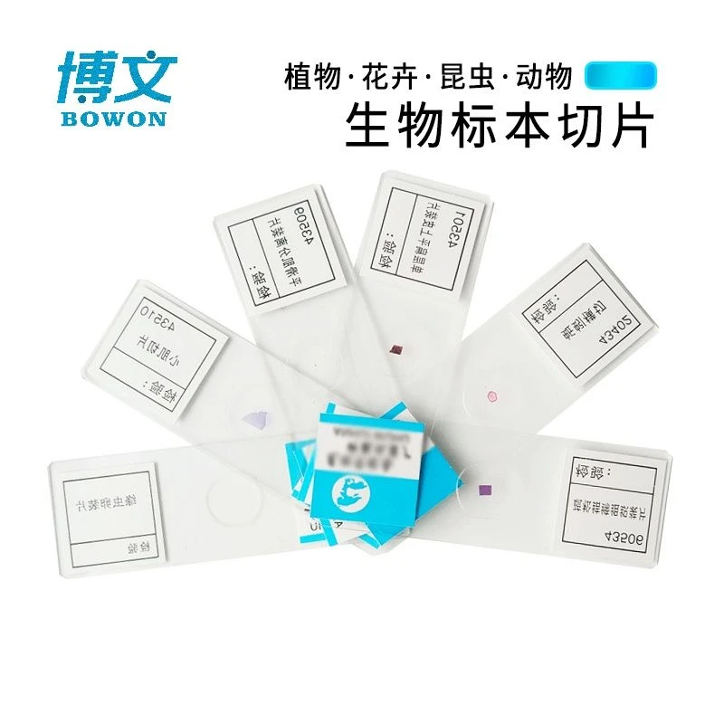 生物切片标本 显微镜玻片标本套装 初中学生儿童学生动物植物细胞
