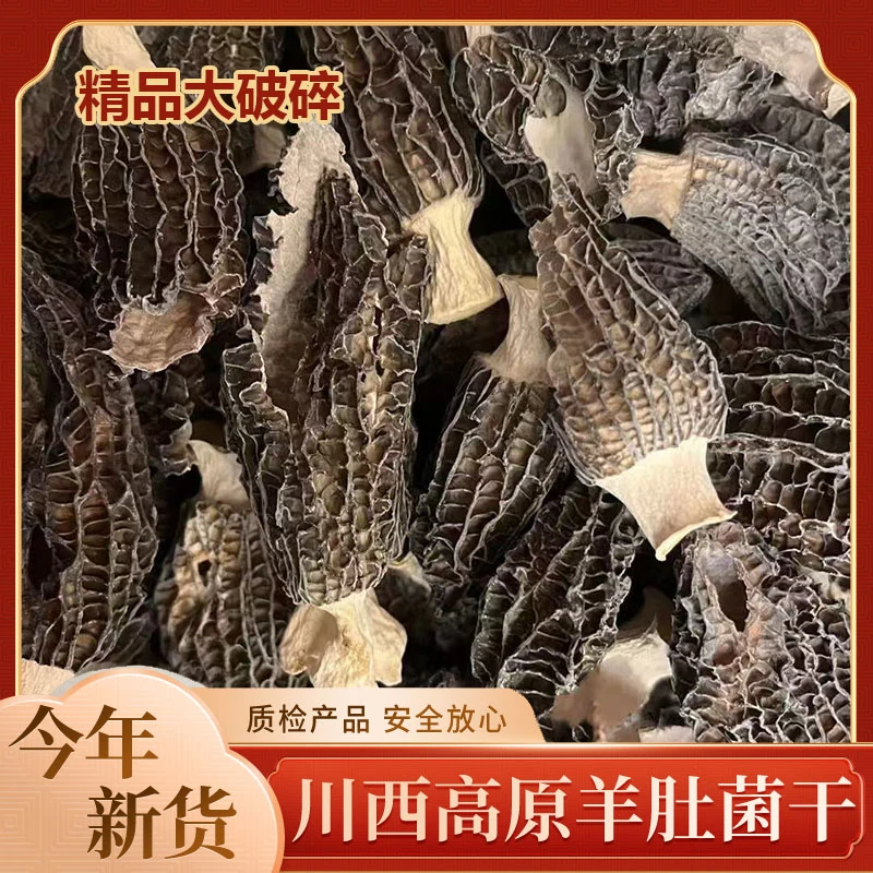【精选大破损】羊肚菌6妹肉厚包饺子煲汤蒸蛋
