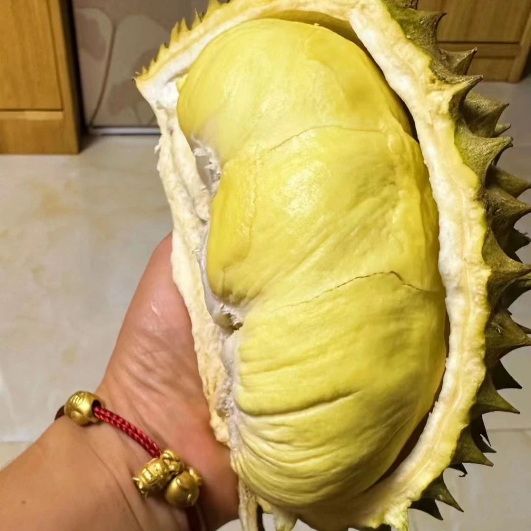 整果新鲜核小中斤金枕越南
