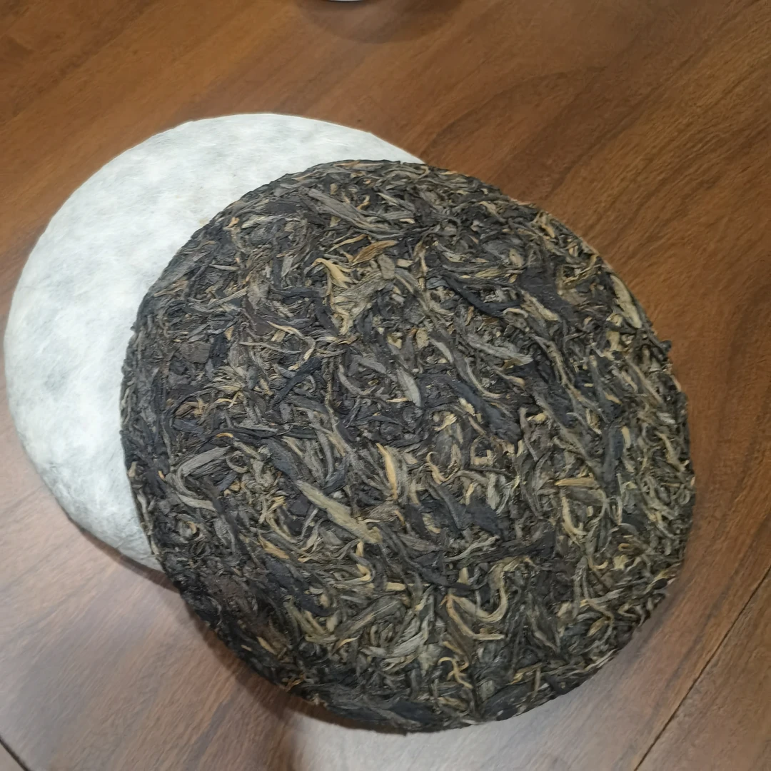 【董哥小众茶】曼松古树春头采普洱茶