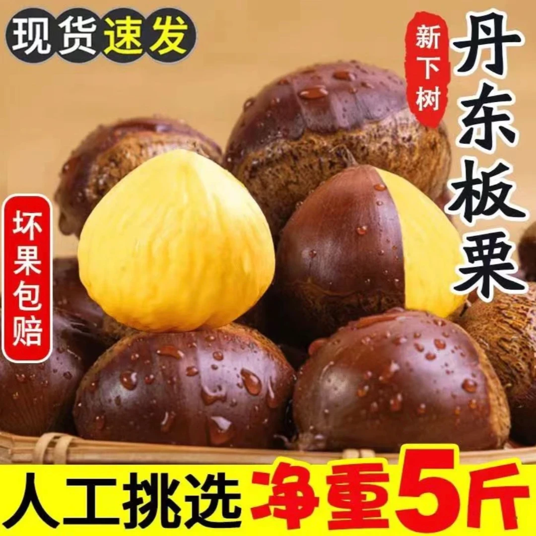 【精选大果】东北老品种新鲜大板栗(买四斤送一斤)-到手五斤