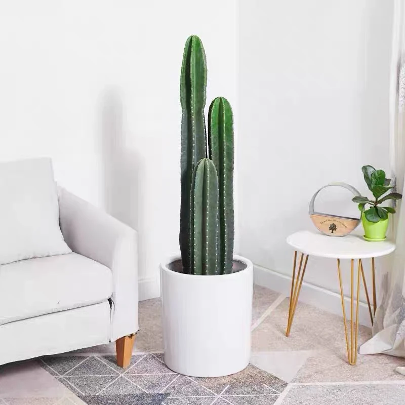 仙人柱量天尺盆栽北欧风室内大型好养多肉植物无刺仙人掌绿植