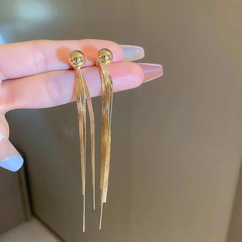 一款两戴流苏长款耳环女小众设计耳坠轻奢高级感爆款耳钉网红同款