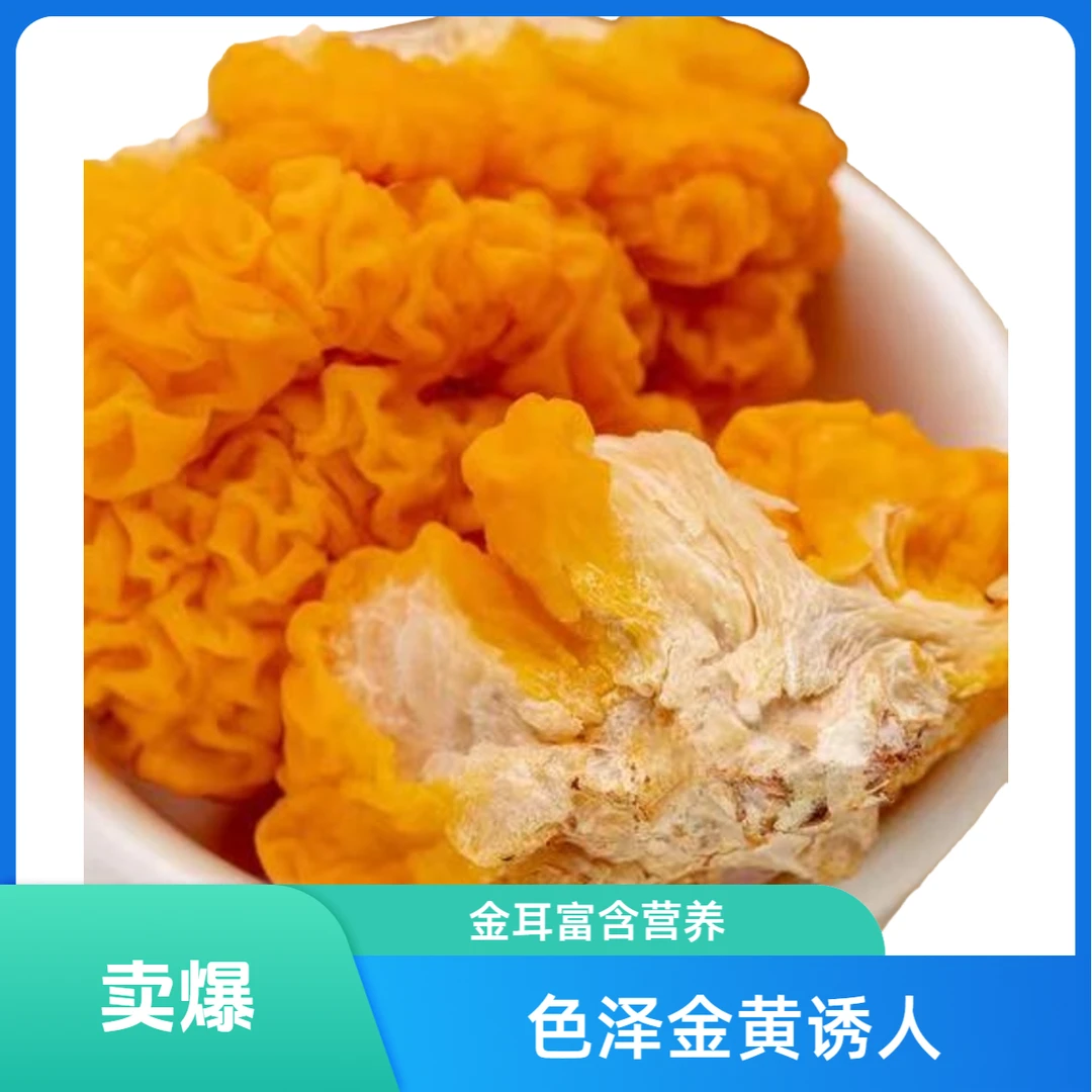 新鲜金耳1000g更划算 营养丰富顺丰包邮