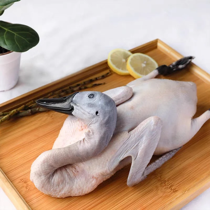 次日达生态散养土鸭连城白鸭白鹜鸭火锅食材家庭必备半成品食物