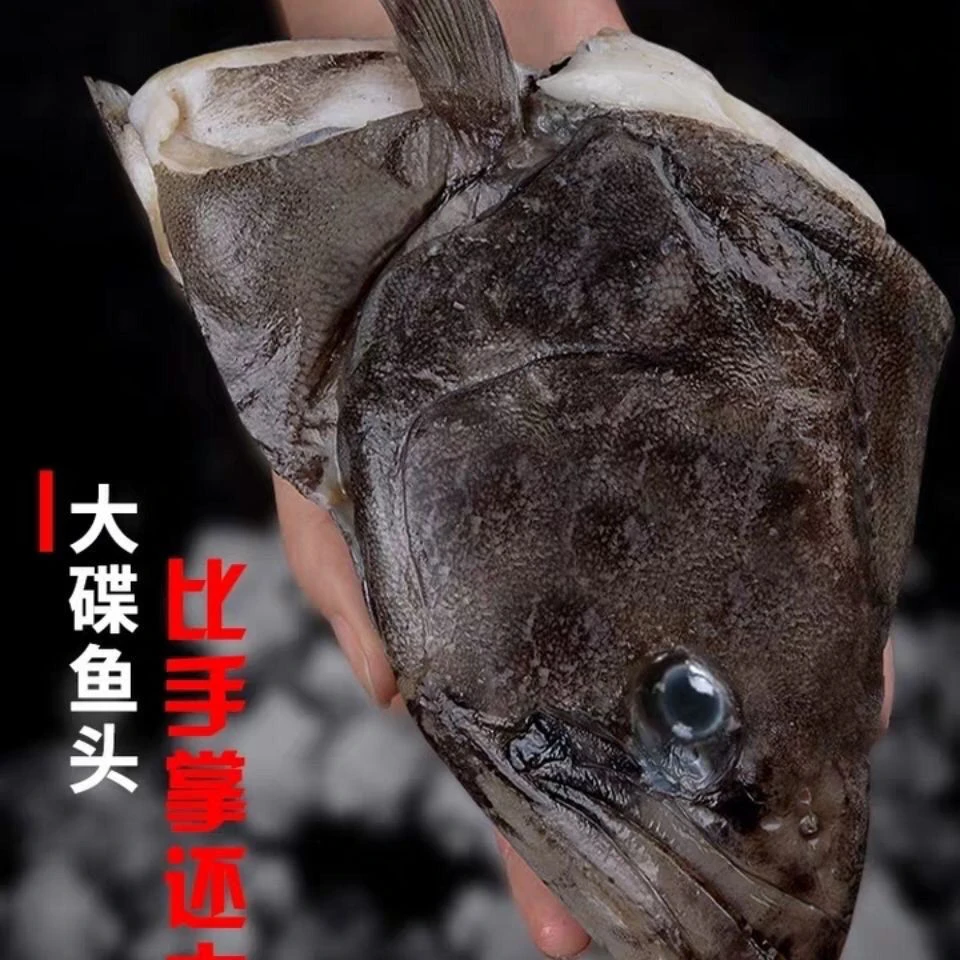 超大鲽鱼头苏州发货冷冻雅片鱼头比目鱼头含冰1斤以上/个全国包邮