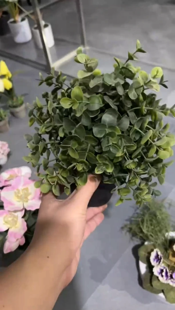 【闪购商品】仿真蝴蝶兰多肉盆栽