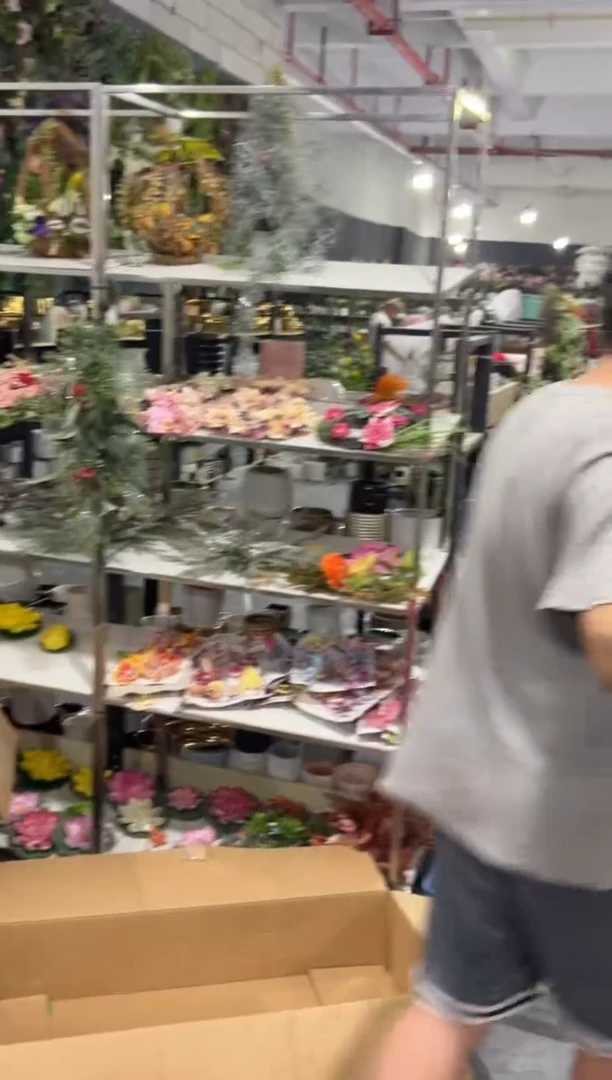 【闪购商品】仿真蝴蝶兰多肉盆栽