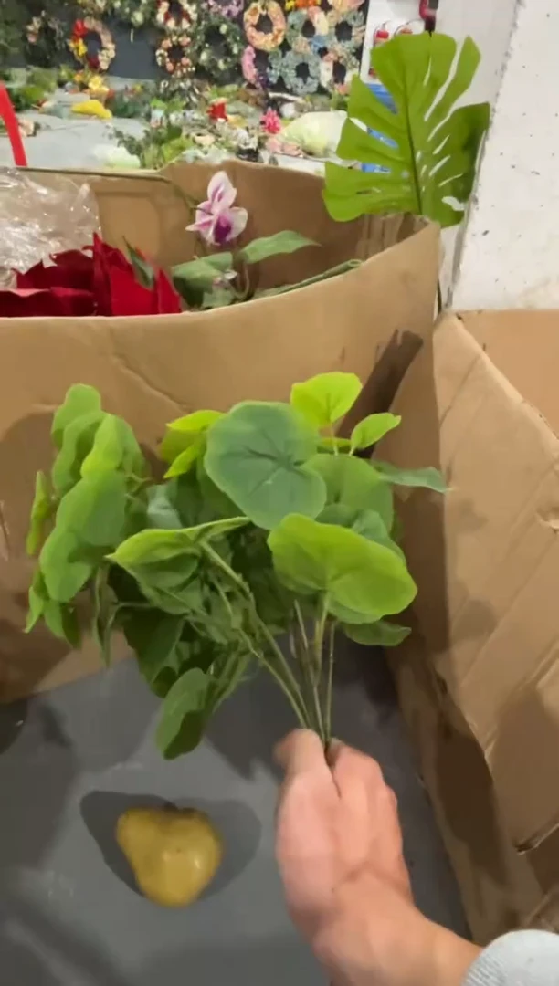 【闪购商品】仿真蝴蝶兰多肉盆栽