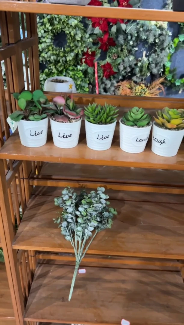 【闪购商品】仿真蝴蝶兰多肉盆栽