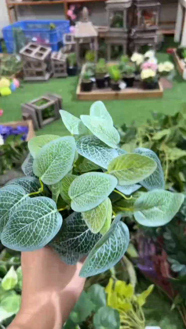 【闪购商品】仿真蝴蝶兰多肉盆栽