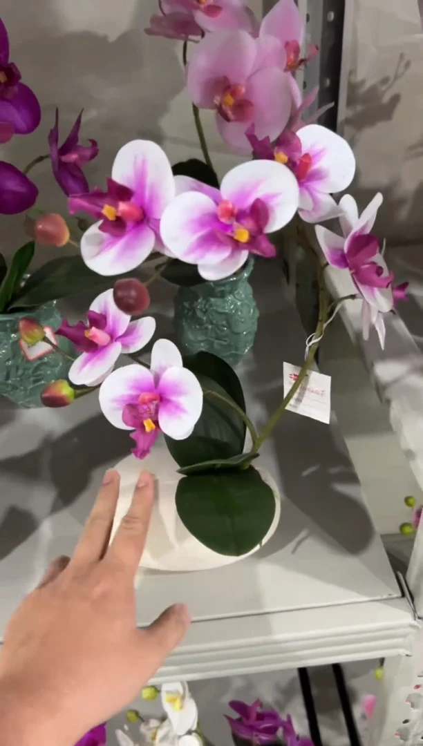 【闪购商品】仿真花朵多肉绿植盆栽