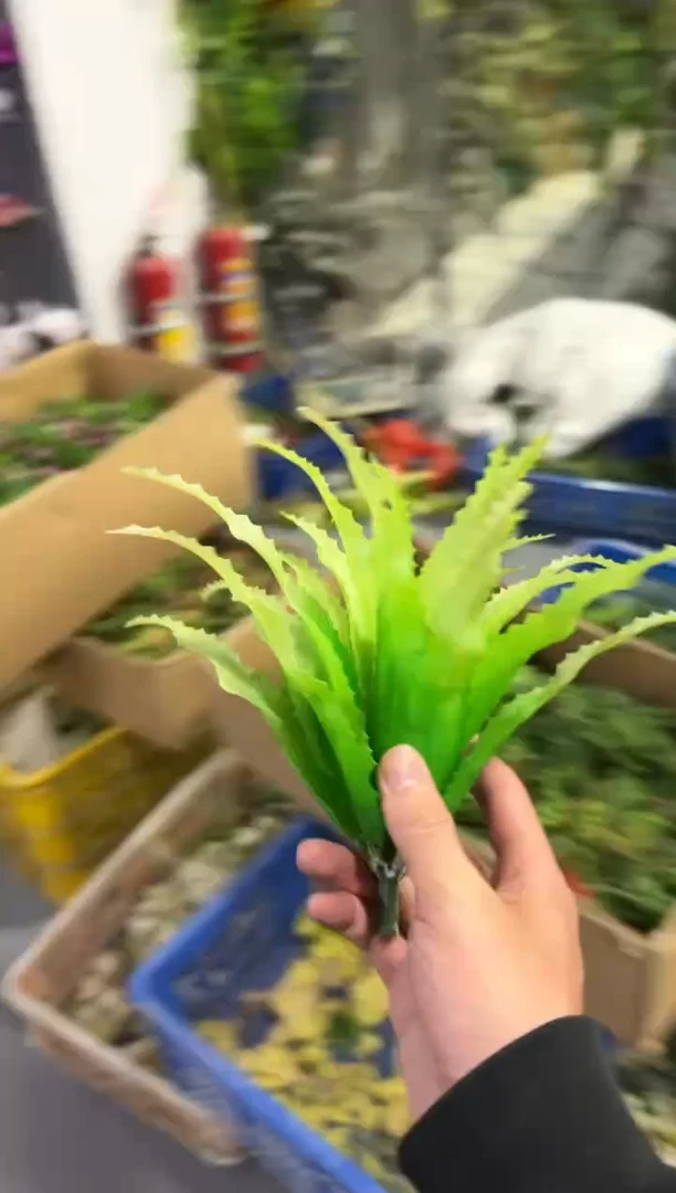 【闪购商品】仿真蝴蝶兰多肉盆栽