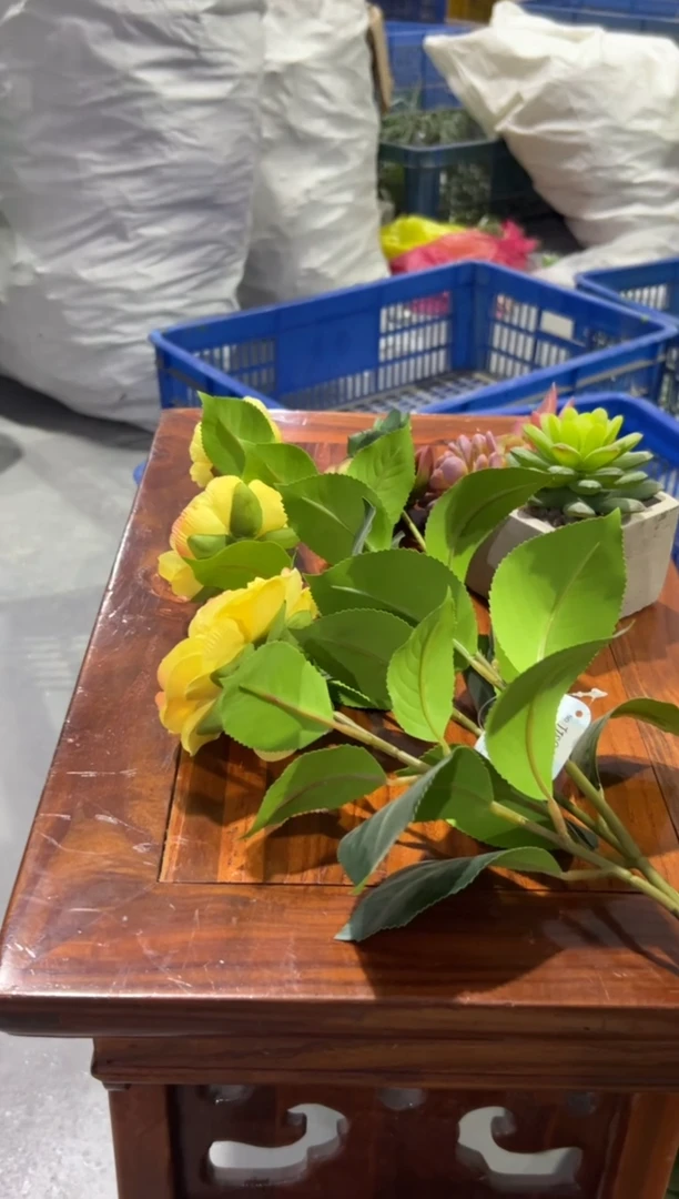 【闪购商品】仿真蝴蝶兰多肉盆栽