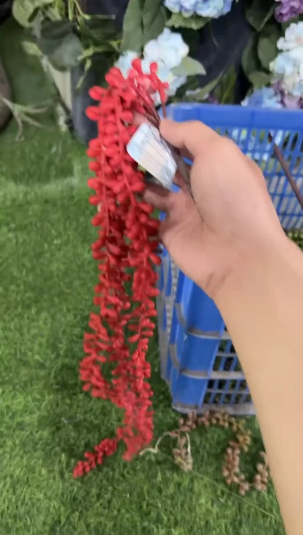 【闪购商品】仿真蝴蝶兰多肉盆栽