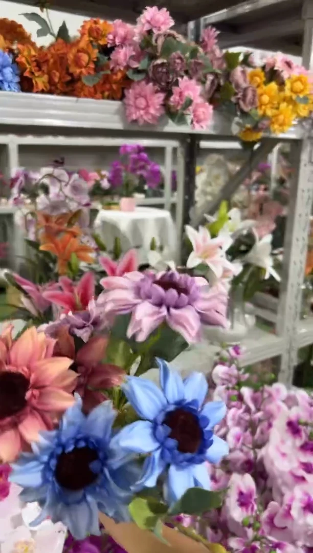 【闪购商品】仿真蝴蝶兰多肉盆栽