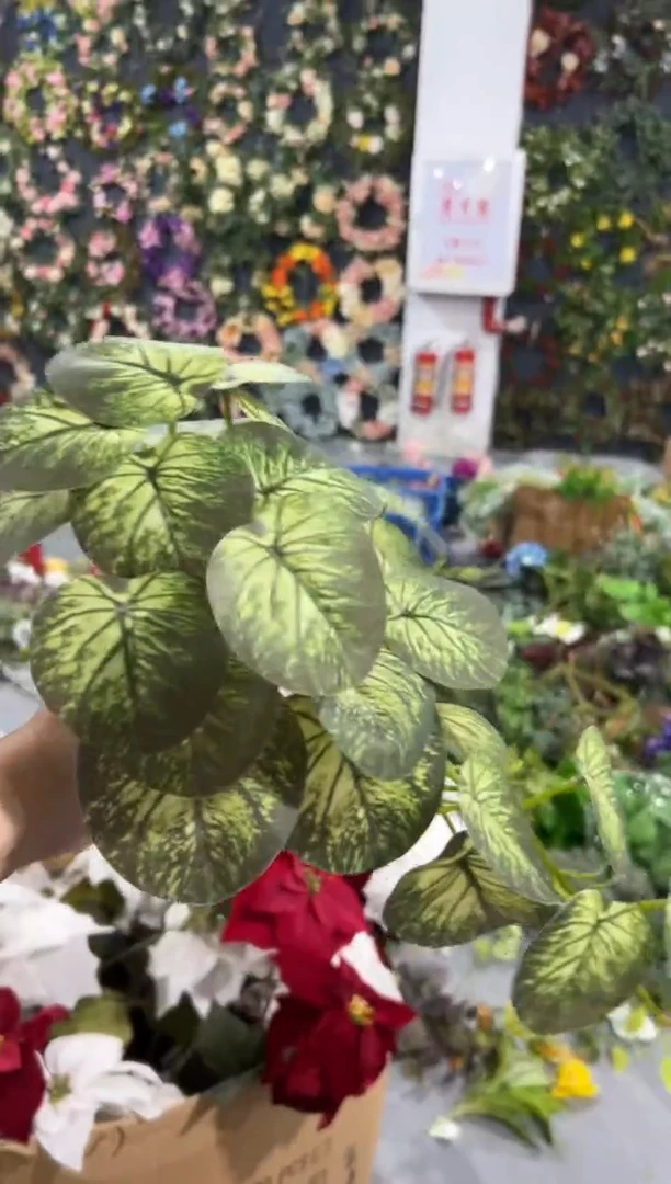 【闪购商品】仿真蝴蝶兰多肉盆栽