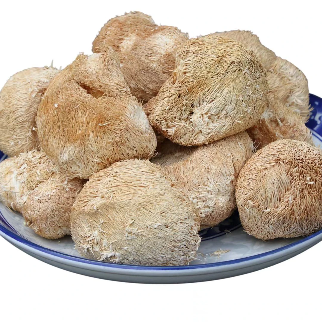 桑枝菌猴头菇干货可打粉土特产重庆基地直发煲汤精选生态高品质