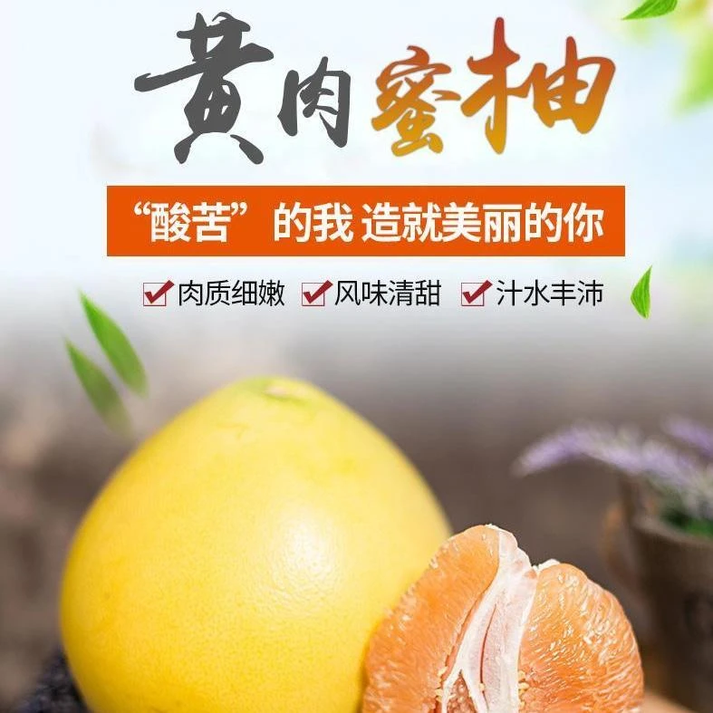 黄心柚子正宗四川甜橘柚新鲜大果黄金柚蜜柚汁多皮薄清甜整箱水果