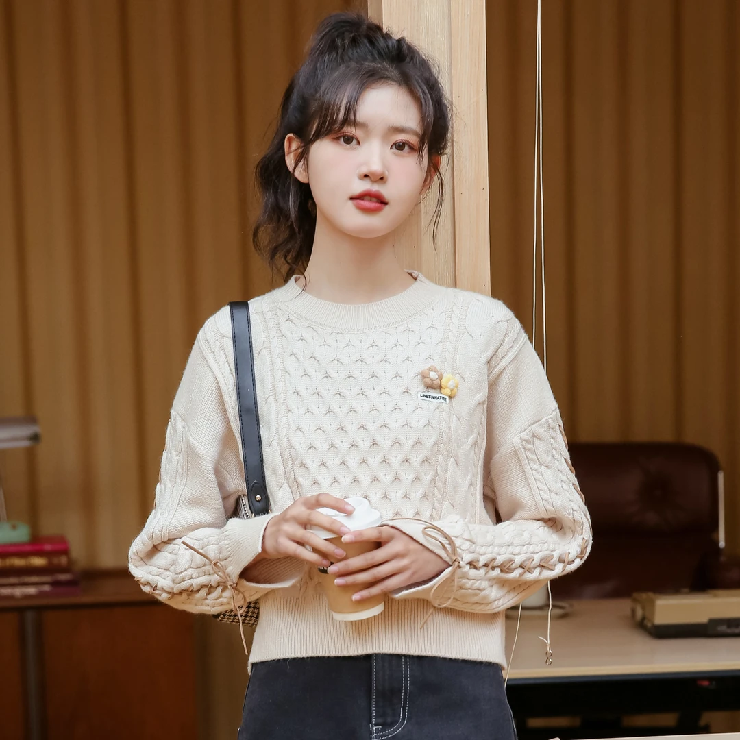 帛卡琪2024春秋新款套头绣花针织保暖打底衫宽松麻花针织衫毛衣潮