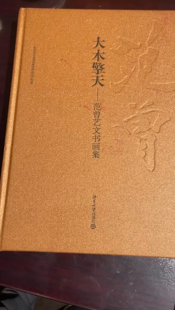 【闪购商品】书画大木擎天范曾艺文书画集