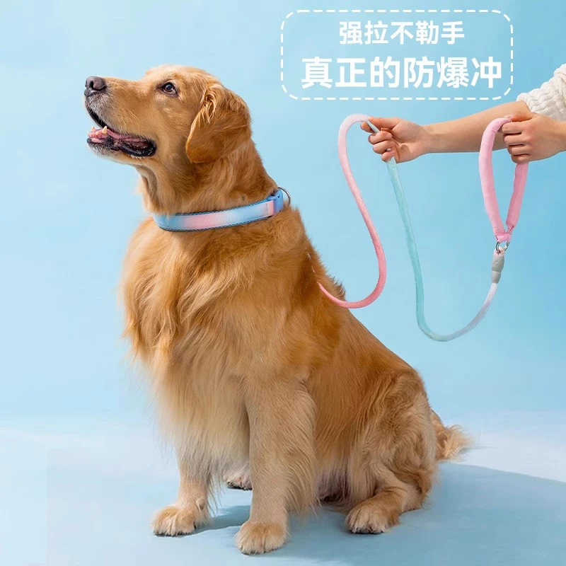 嬉皮狗—仙女渐变绳子防爆冲牵引绳项圈中大型犬防挣脱溜绳子4722