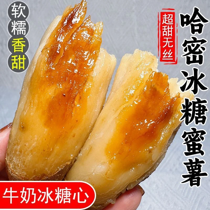 正宗哈密冰糖薯河南沙地新鲜现挖白心糖心蜜薯红薯超甜番地瓜干甜