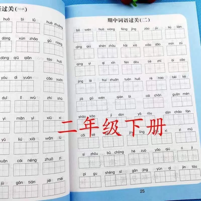 2025 二年级下册看拼音写词语人教版小学2下学期语文同步专项训练