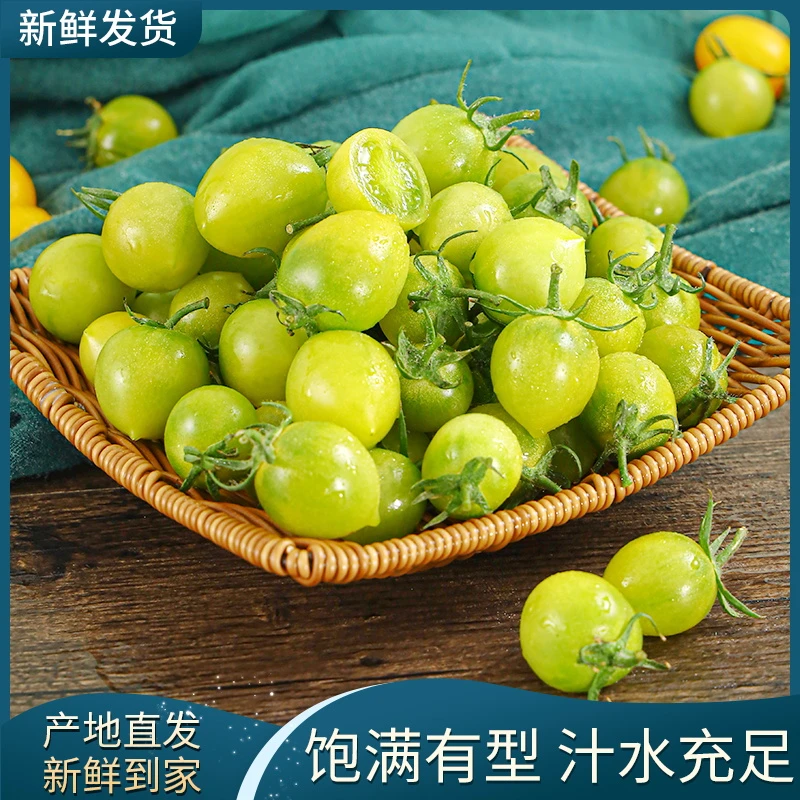 现摘正宗绿色青甜青口小番茄口感3斤自然多汁爽口皮薄酸甜饱满甜.