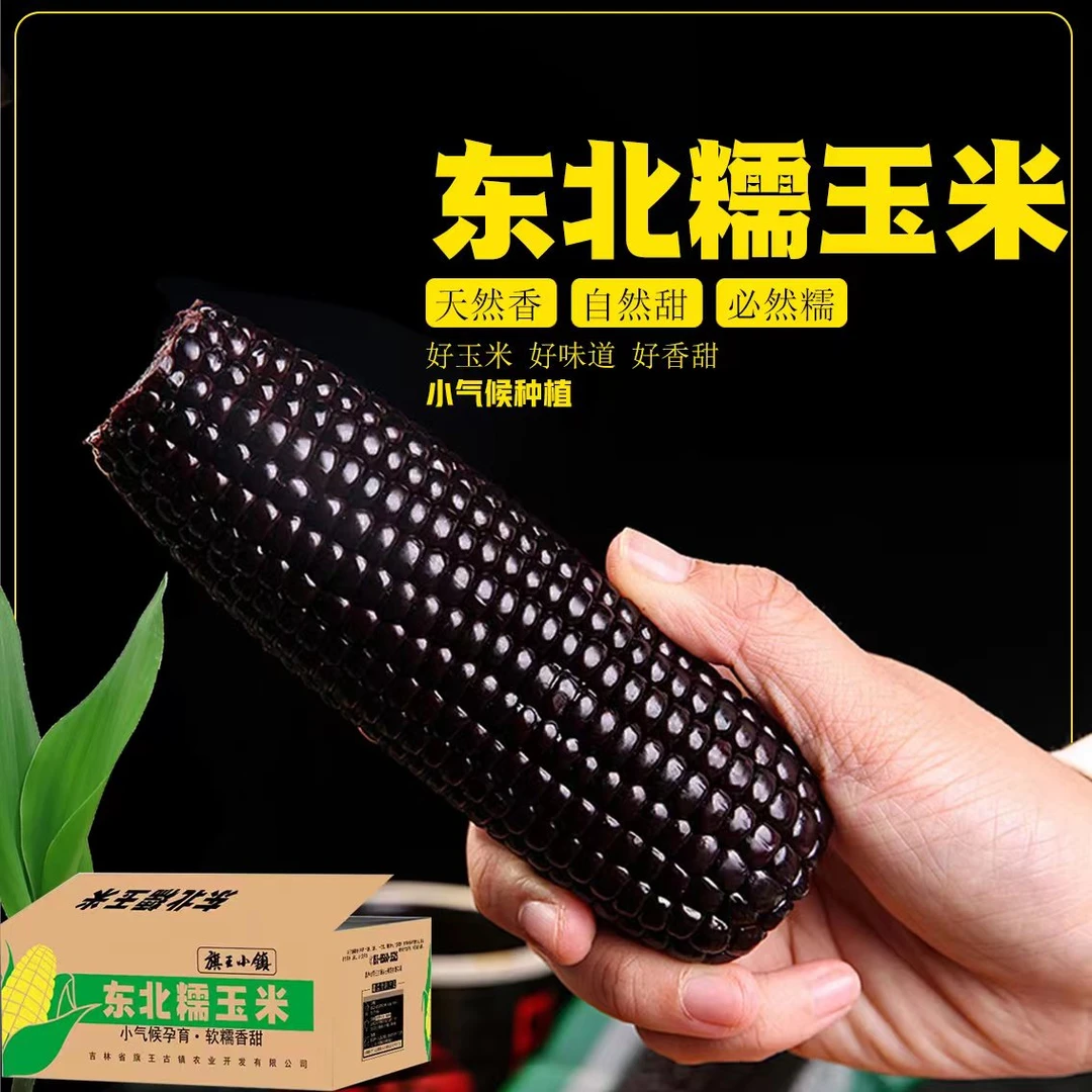 粉丝福利】东北黑糯玉米软糯可口独立真空包装整箱发货