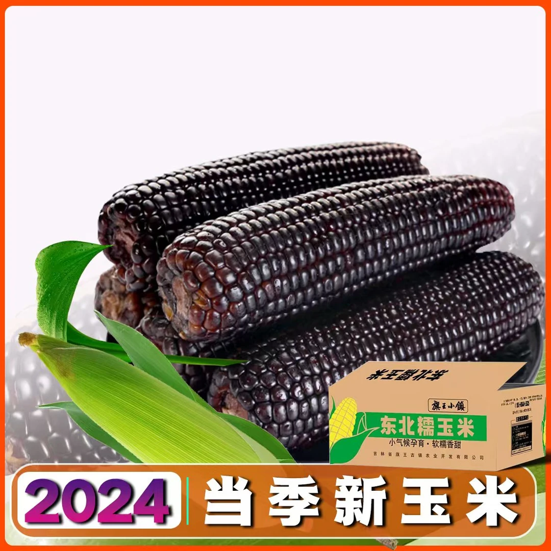 试吃6根】新采2024东北松花江畔农场黑糯玉米软糯13根整箱6.5斤