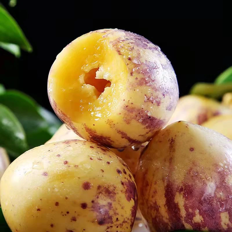 【官方推荐】甘肃民勤人参果3/5/8斤黄肉大果新鲜孕妇水果整箱包邮