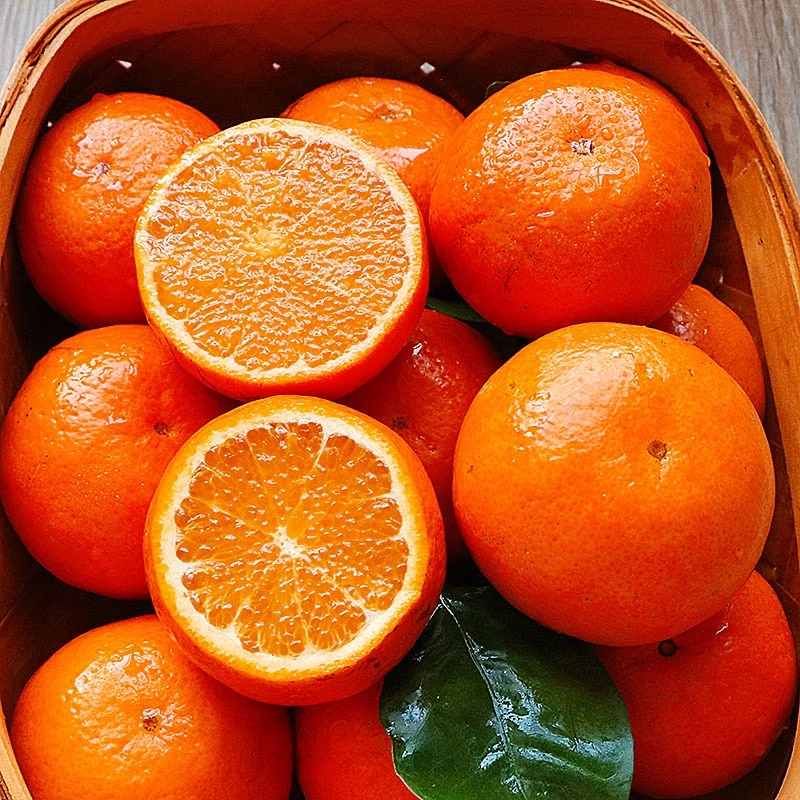精选广西武鸣沃柑应季水果新鲜采摘新鲜发货 水分多皮薄香甜 整箱