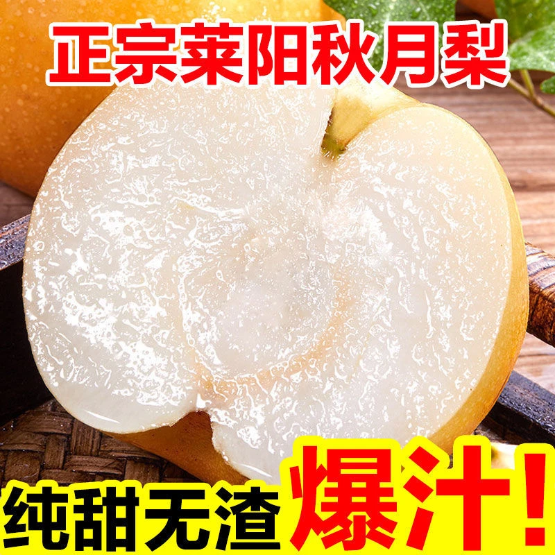 【山东莱阳秋月梨】梨子冰糖秋月梨新鲜水果应季