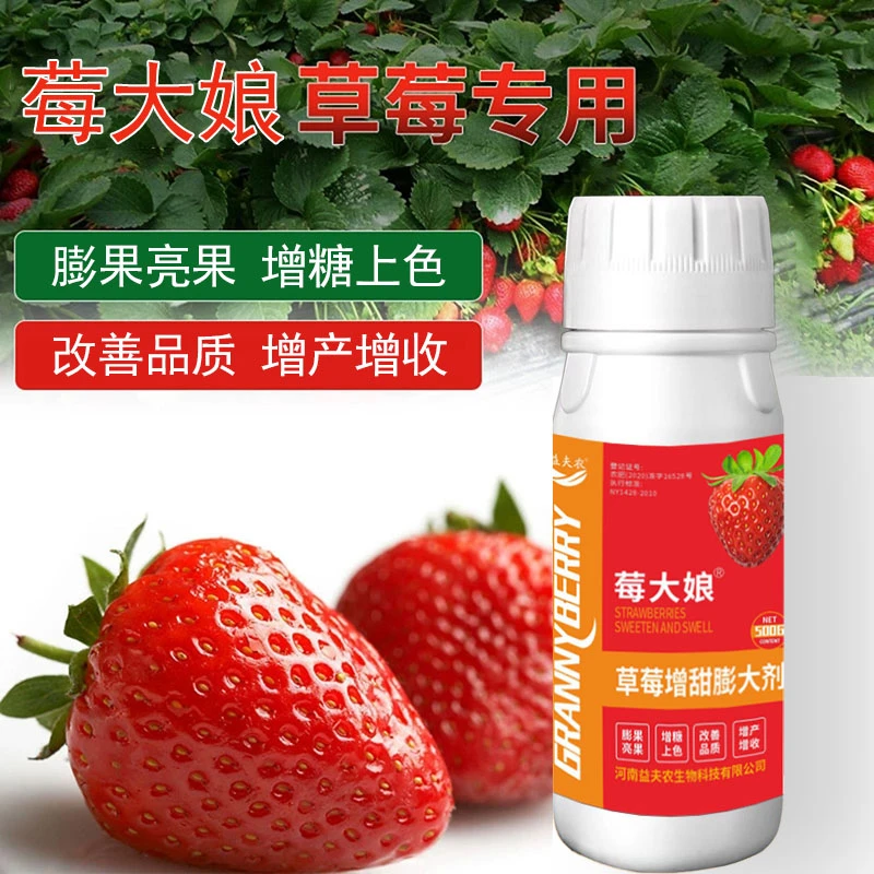 草莓樱桃瓜果膨大素剂硬果素坐果膨果肥靓果不软果增产防空心增甜