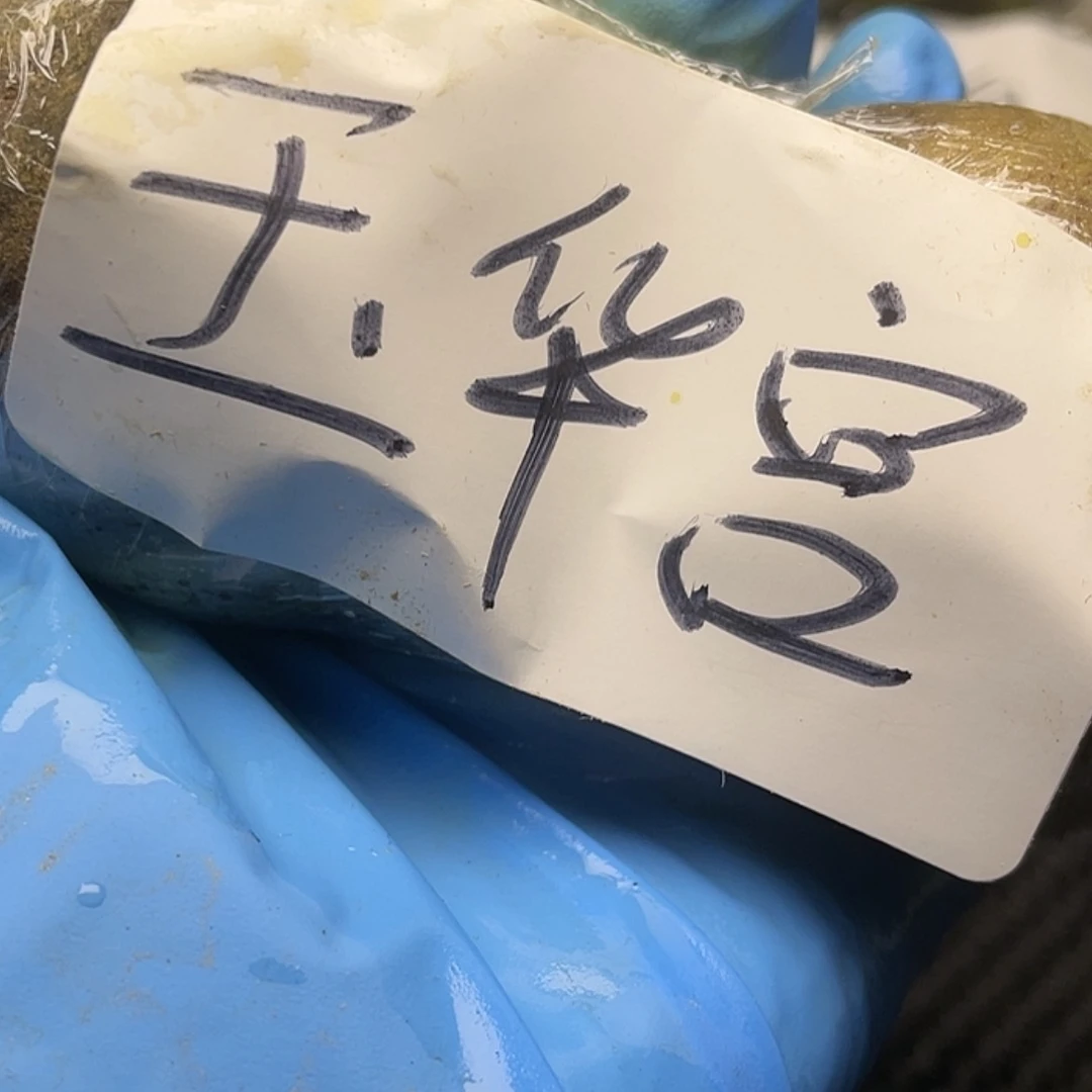 【闪购商品】文玩核桃吊坠灰****花