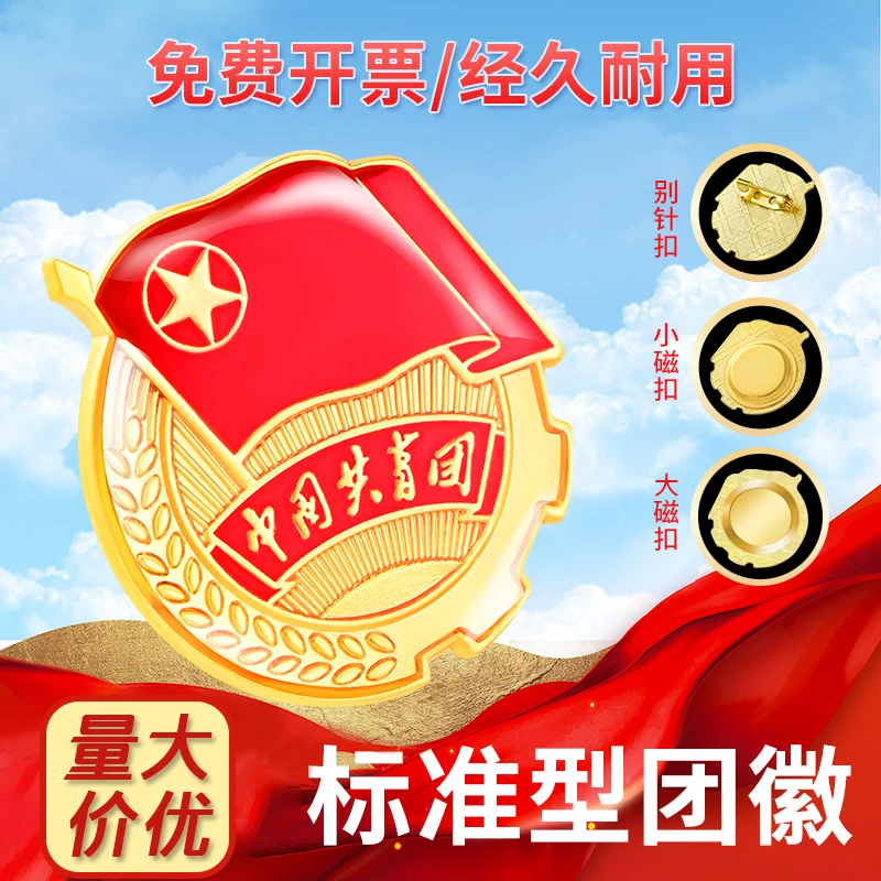 正版中国共青团团徽学生团员徽章标准型胸针别针强磁扣合金不褪色