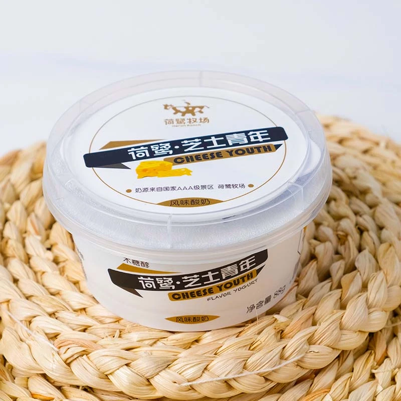 【三衢优汇专属】荷鹭芝士青年酸奶88g下午茶风味酸奶低温冷链发货