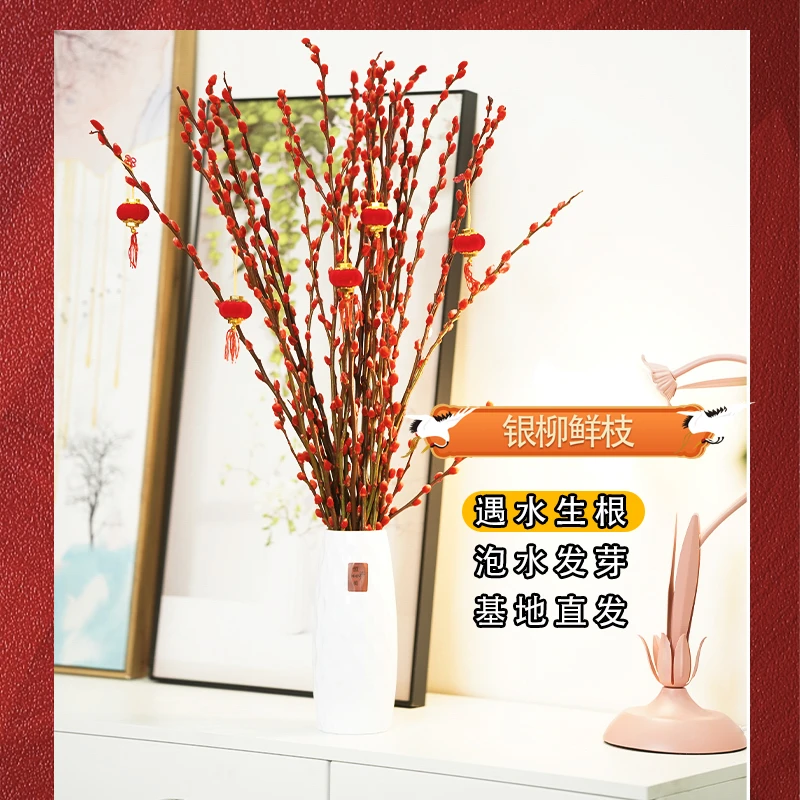 【花漾】银柳鲜枝30支61-70CM年宵花红色喜庆干花耐寒花卉易活鲜活
