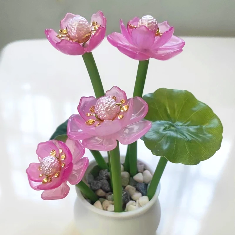 【福利】金荷小盆栽 手工DIY材料包