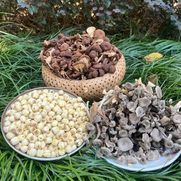 2023新货特级石城干莲子+精选鹿茸菇+精选广昌茶树菇精品组合套装
