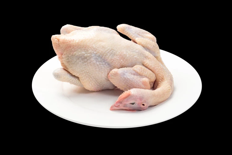 乡村土鸡约1100克一只