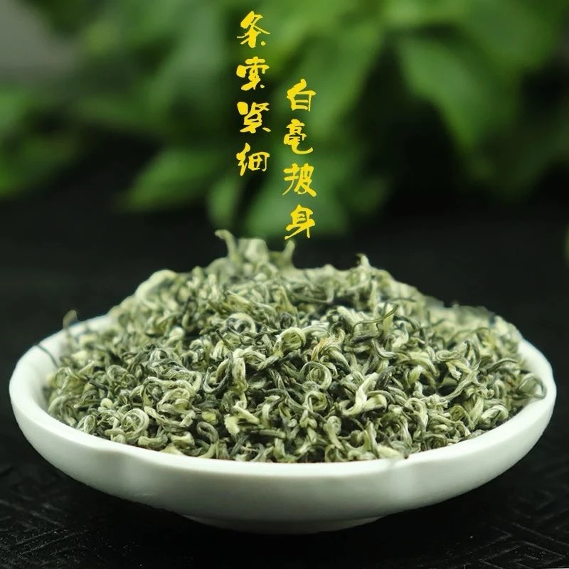 【全疆包邮】蒙顶甘露手工单芽春茶特级2024明前四川高山绿茶100克