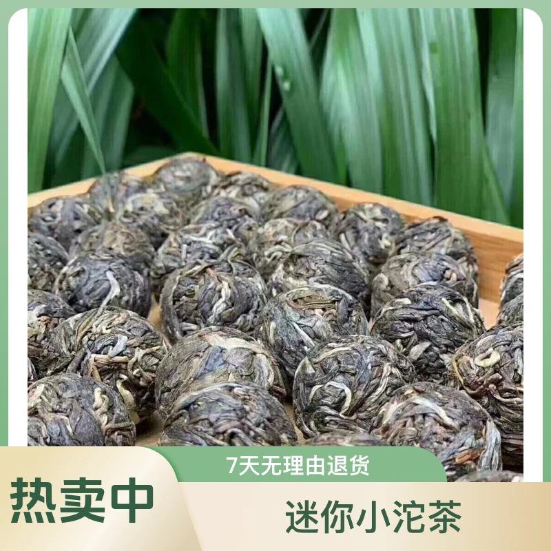 高货昔归 23年嘎哩忙麓古树春茶古树龙珠（高货）