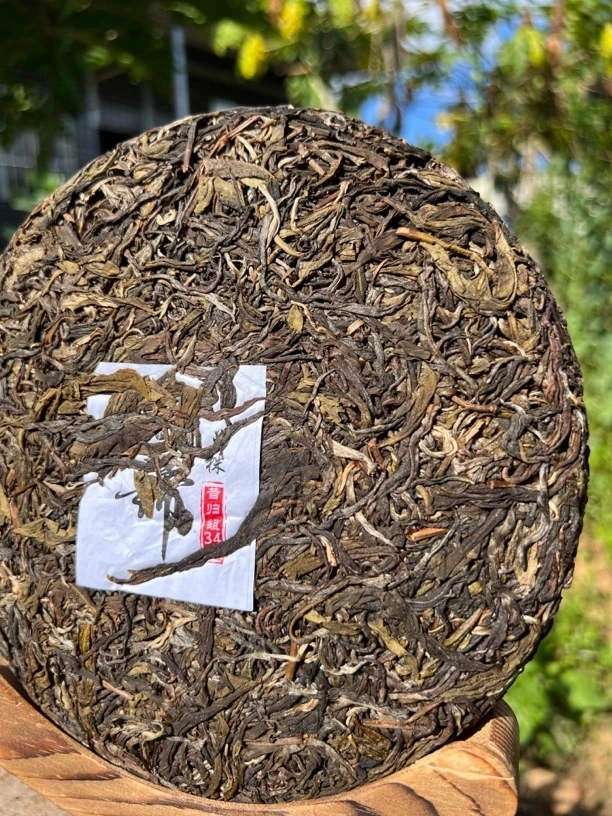 （古树红）2022年核心区古树头春头采晒红357克饼(果香甜)
