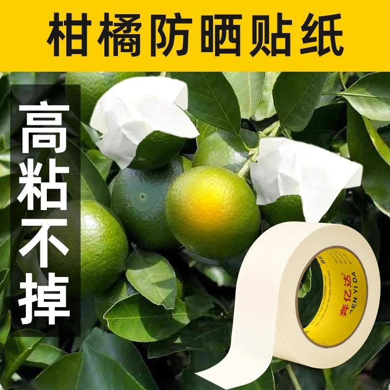 柑橘防晒贴纸桔子水果太阳果防晒美纹纸胶带脐橙水果橘子美纹胶