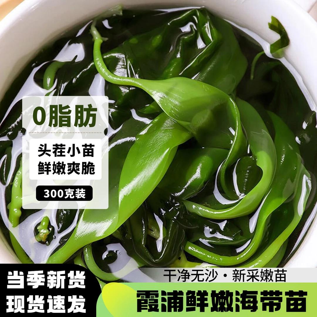 福建霞浦海带嫩苗300g*2半干盐渍干净无沙脆嫩煮汤麻辣烫凉拌食材