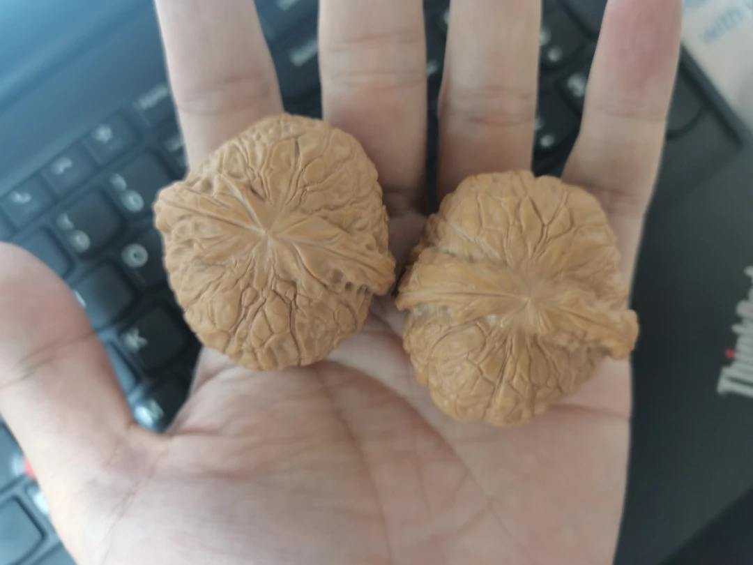 63号38到45尺寸全品无修南瓜墩核桃